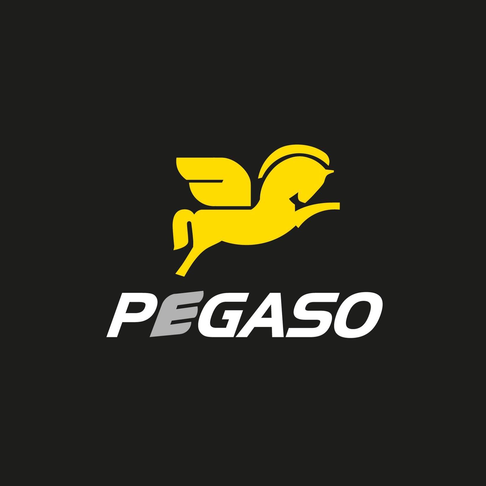 Pegaso