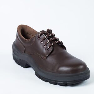 Zapato básico
